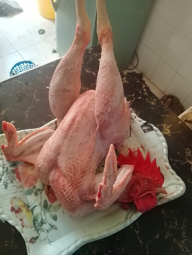 Kienyeji chicken