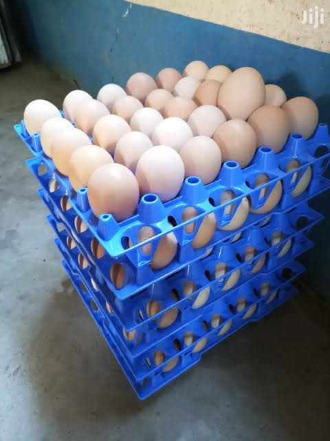 Kienyeji eggs 