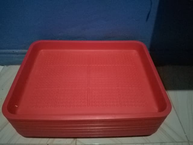 Trays for feeding chicks