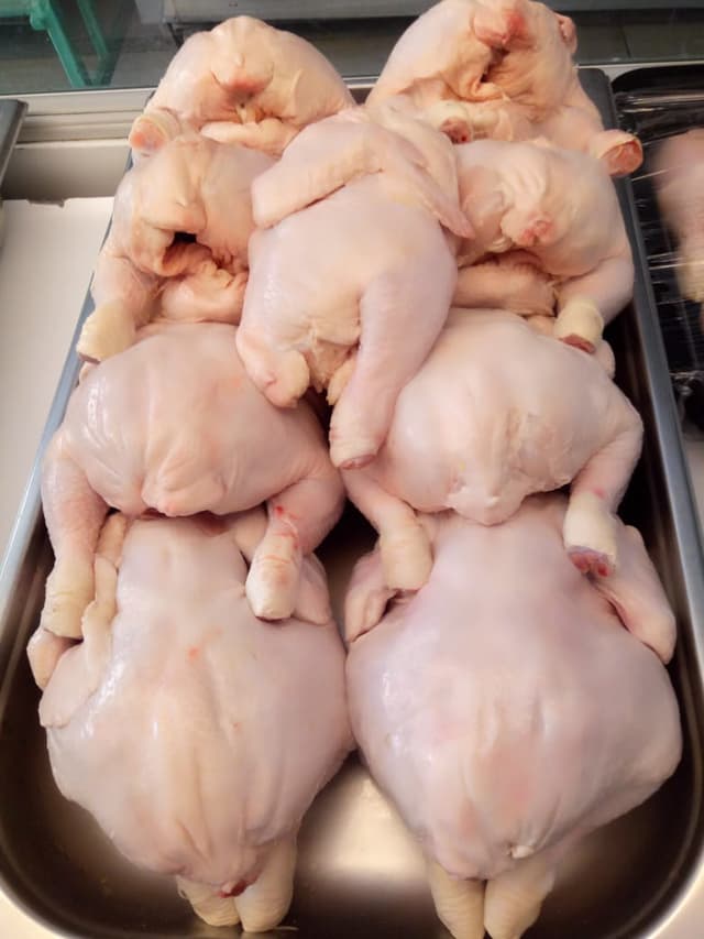 broiler chicken 1.1-1.3